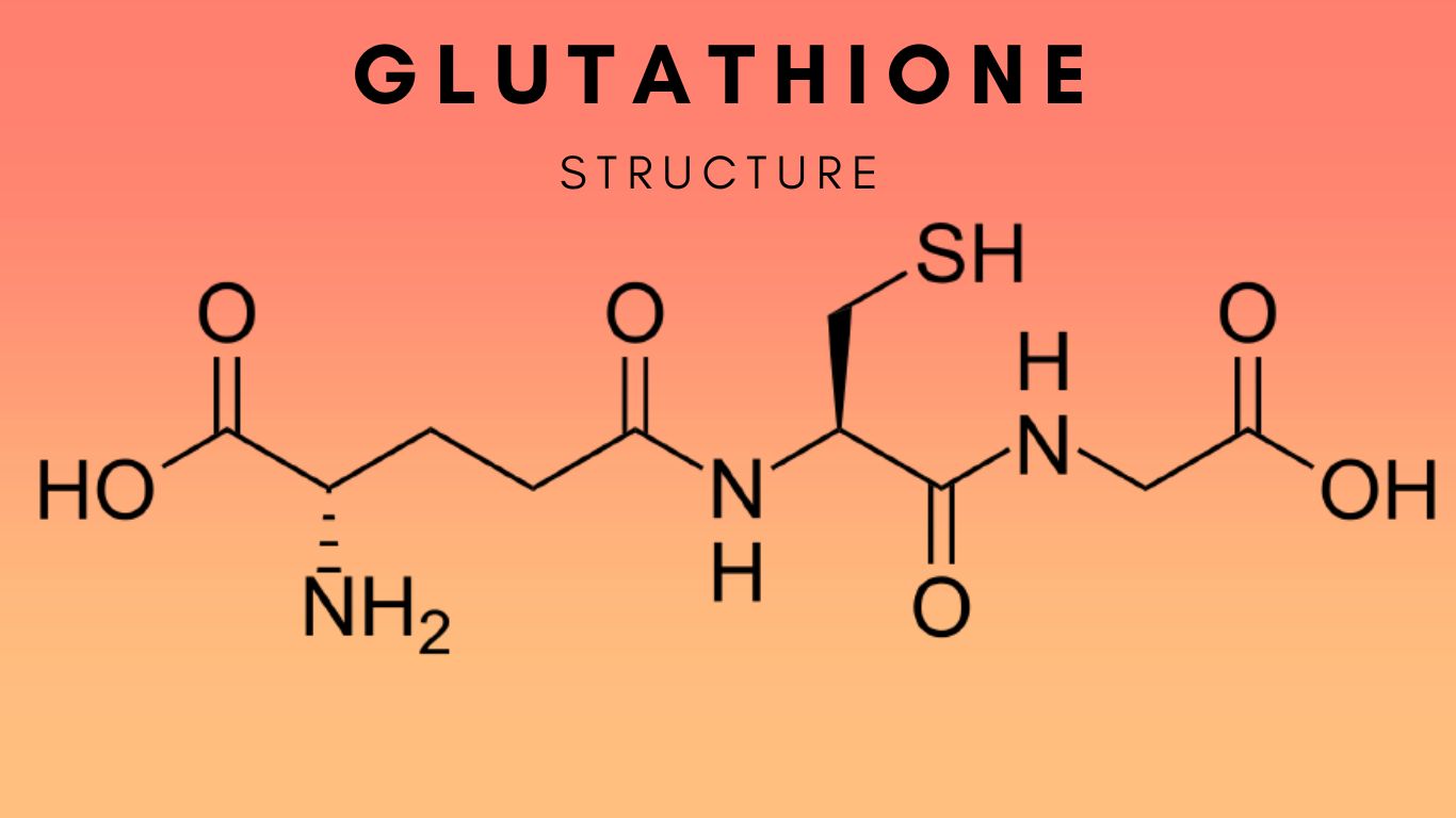 Sea Water to Help the Production of Glutathione Vested Sea Sea Water to Help the Production of Glutathione Vested Sea