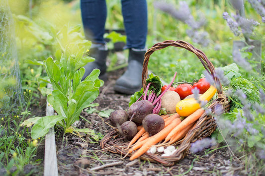 Vegetal Nutricion